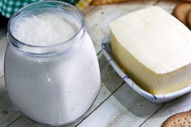 Aprenda fazer CREME DE LEITE FRESCO e MANTEIGA com SOMENTE 1 INGREDIENTE