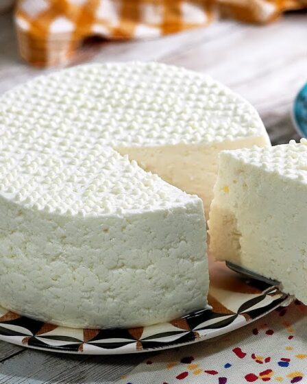 COMO FAZER QUEIJO FRESCAL MINAS - QUEIJO FRESCO ORIGINAL | SEM VINAGRE