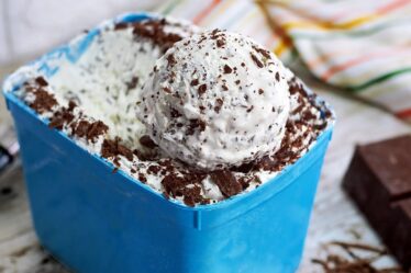 SORVETE DE FLOCOS COM SOMENTE 3 INGREDIENTES, sem GELATINA, sem EMULSIFICANTE