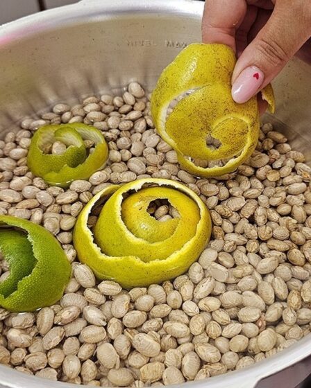 Descobri esse truque e agora só Faço Feijão assim 😋 fica bem temperando