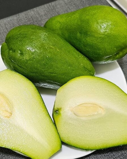 CHUCHU ASSIM VOCÊ VAI QUERER COMER TODOS OS DIAS😋 bem temperado e saboroso 😋
