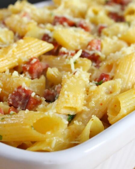 ALMOÇO PRONTO EM ALGUNS INSTANTES - ESSE MACARRÃO CREMOSO É SÓ MISTURAR E LEVAR AO FORNO