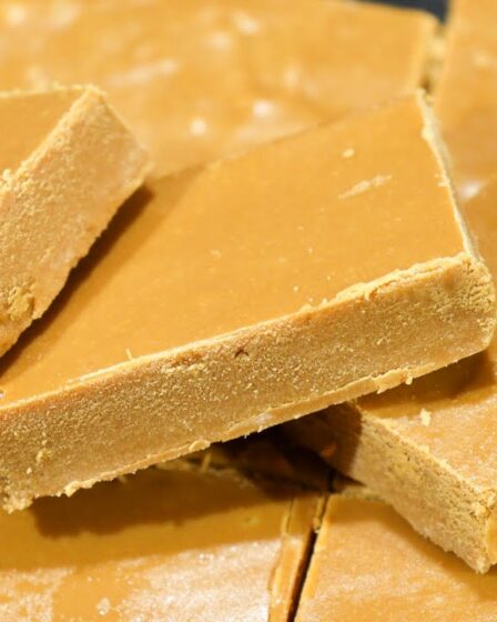 CHEGUEI NO PONTO IDEAL PARA O DOCE DE LEITE DE CORTE - MELHOR QUE O DO MERCADO - NUNCA MAIS ERRE