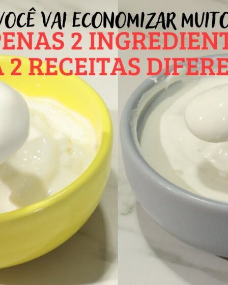 COM APENAS 2 INGREDIENTES FAÇA IOGURTE GREGO E CREAM CHEESE - FICA IGUAL COMPRADO NO MERCADO