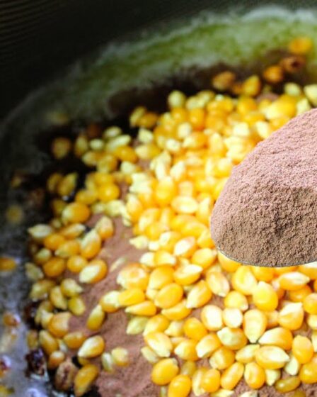 COMO FAZER PIPOCA DOCE EM 1 PANELA SÓ - PRONTA EM MENOS DE 10 MINUTOS!!