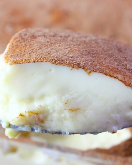 Curau de Milho de latinha (O MELHOR) SUPER CREMOSO e MEGA Fácil de fazer