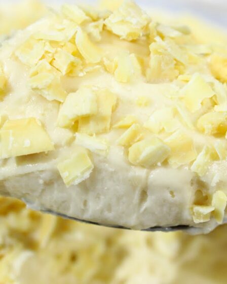 DEPOIS DESSA SOBREMESA VOCÊ NÃO VAI QUERER OUTRA - MUITO CREMOSA E DELICIOSA, A FAMOSA MOÇA CREMOSA