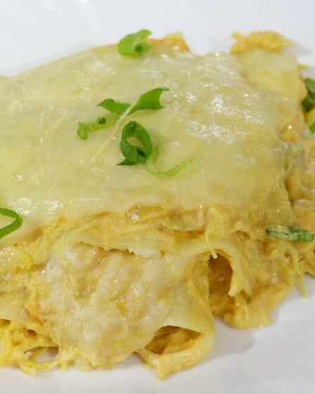 DEPOIS DESSA VOCÊ SÓ VAI QUERER COMER LASANHA ASSIM - A MELHOR LASANHA DE FRANGO - MUITO CREMOSA
