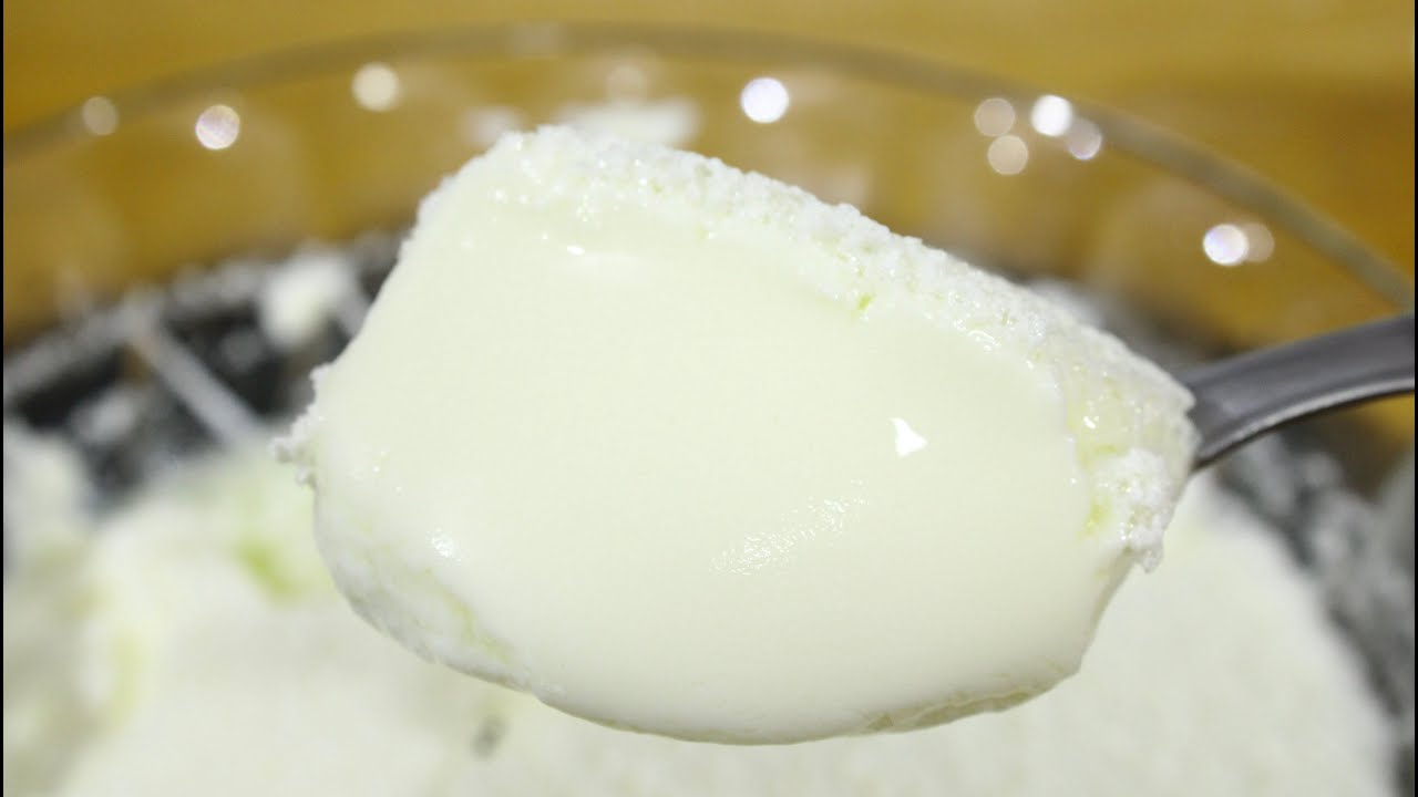 IOGURTE DE LIQUIDIFICADOR - FIZ MAIS DE 1 LITRO DE IOGURTE NATURAL- A RECEITA MAIS FÁCIL QUE EXISTE