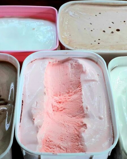 RENDE MUITO! FAÇA QUASE 10 LITROS DE SORVETE COM ESSA RECEITA