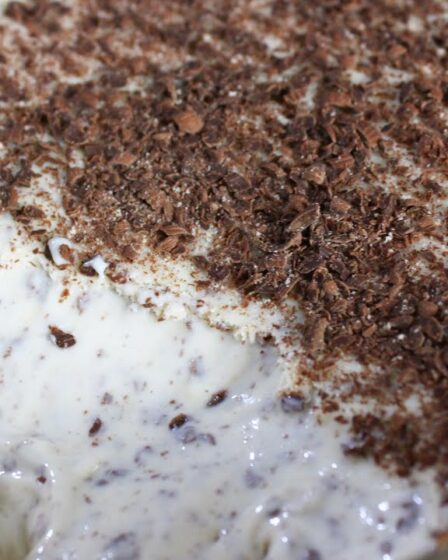 SOBREMESA DE FLOCOS MAIS FACIL - SEM FOGO E SEM GELATINA - O SABOR DESSA SOBREMESA VAI IMPRESSIONAR