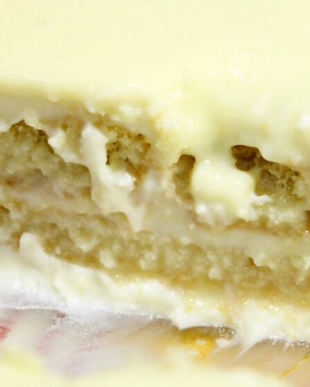 SOBREMESA DELICIOSA SEM FOGO E SEM GELATINA! RÁPIDA E FÁCIL! VOCÊ NÃO FICA MUITO TEMPO NA COZINHA