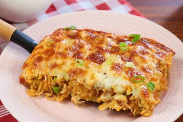 TORTA DE FRANGO SEM TRIGO - RÁPIDA, FÁCIL E DELICIOSA PARA COMER SEM CULPA