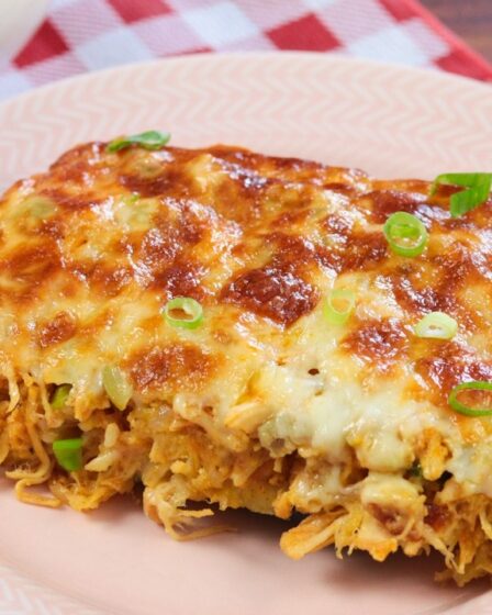 TORTA DE FRANGO SEM TRIGO - RÁPIDA, FÁCIL E DELICIOSA PARA COMER SEM CULPA