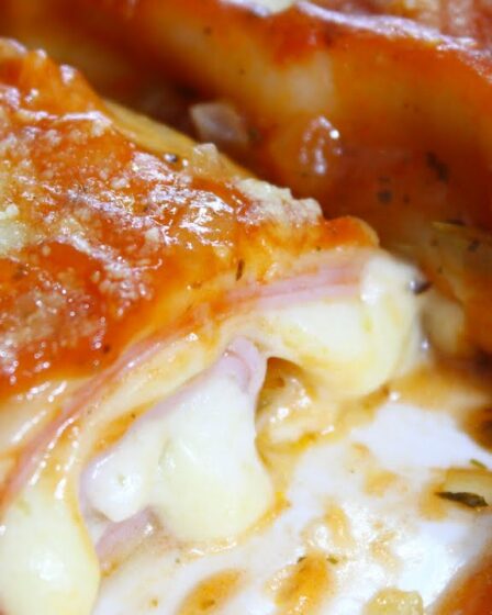 UMA MARAVILHA FEITA COM MASSA PRONTA - SUPER FACIL E RÁPIDO - CANELONE MEGA DELICIOSO - PERFEITO