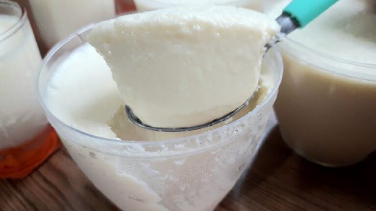 VOCÊ PRECISA FAZER ESSA MOUSSE DE LEITE NINHO SUPER FÁCIL
